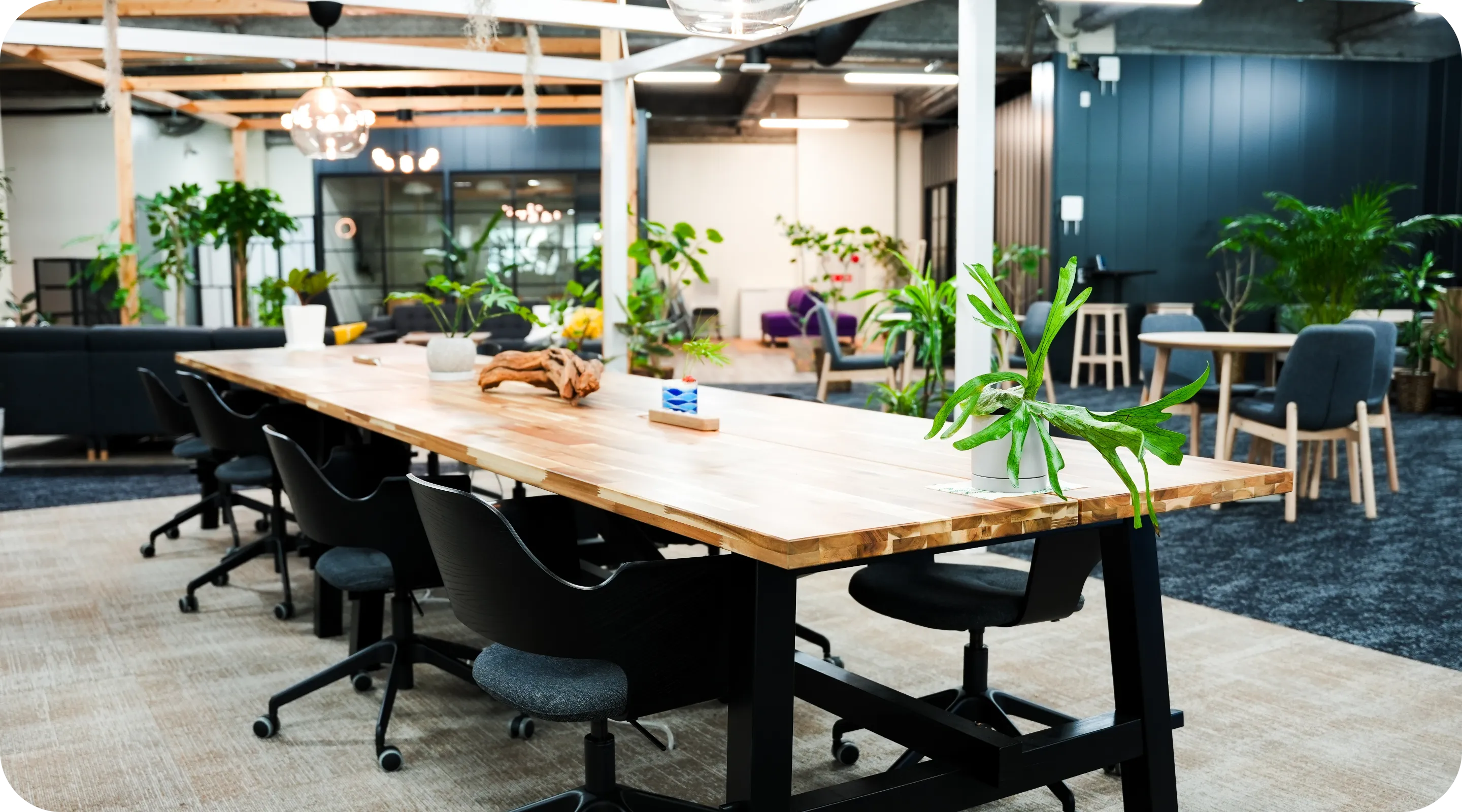 オフィスの写真