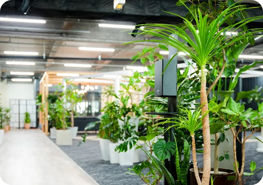 オフィスの写真