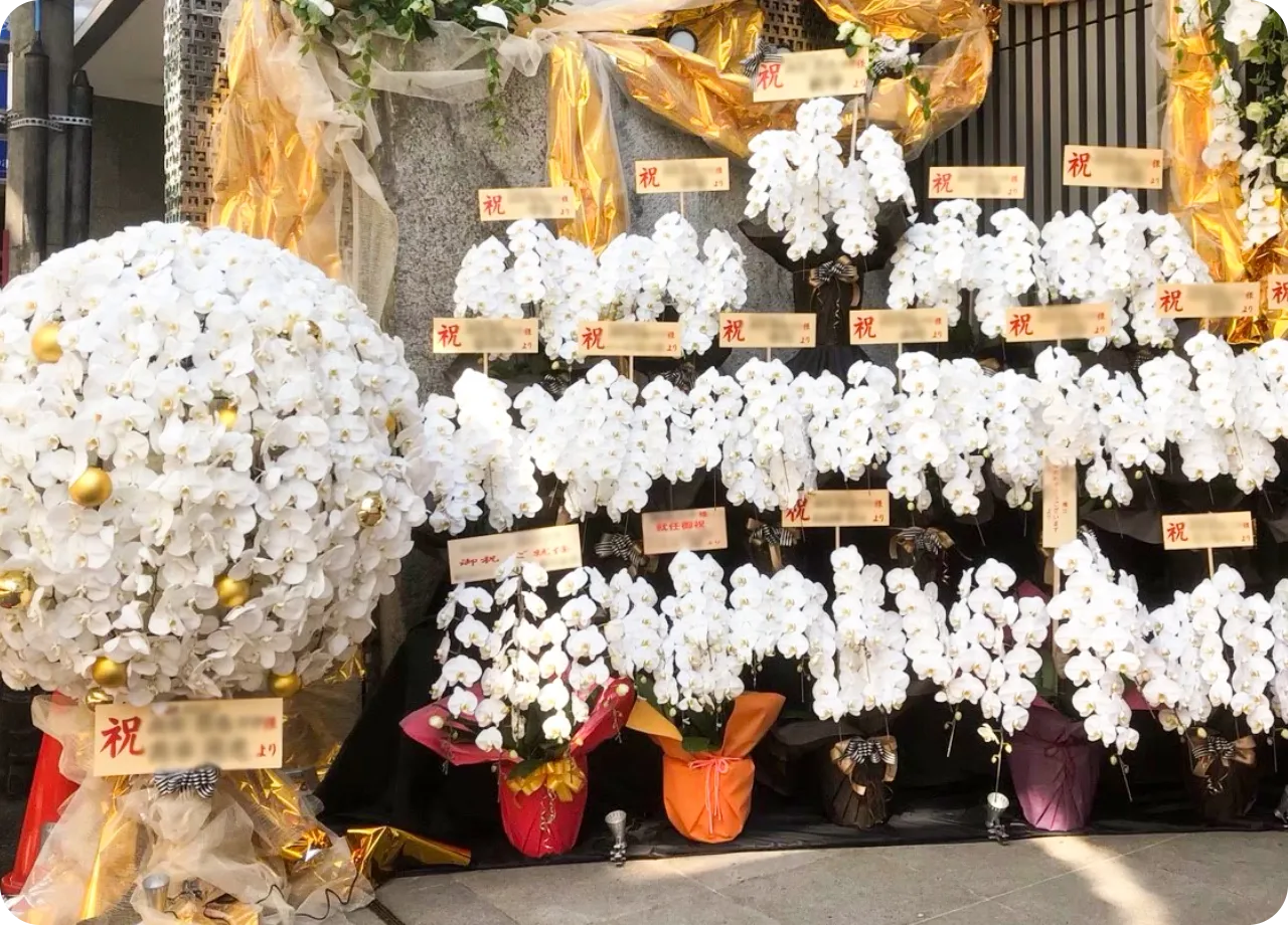 大型装飾イメージ