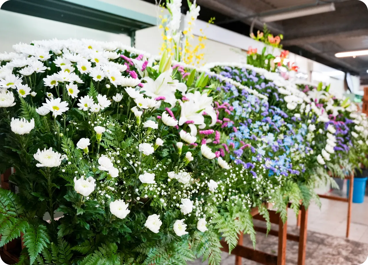 OEM商品イメージ