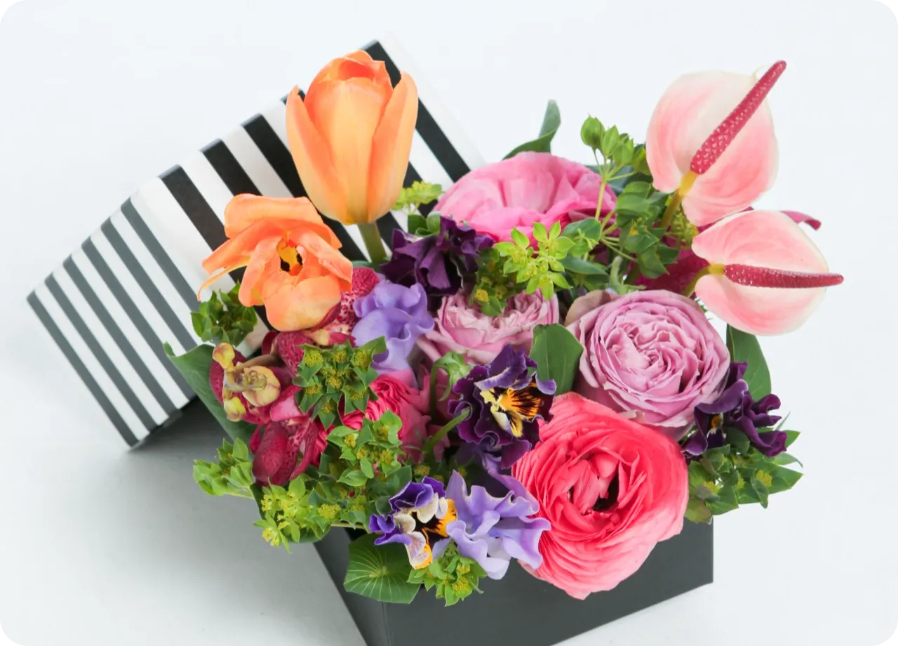 OEM商品イメージ